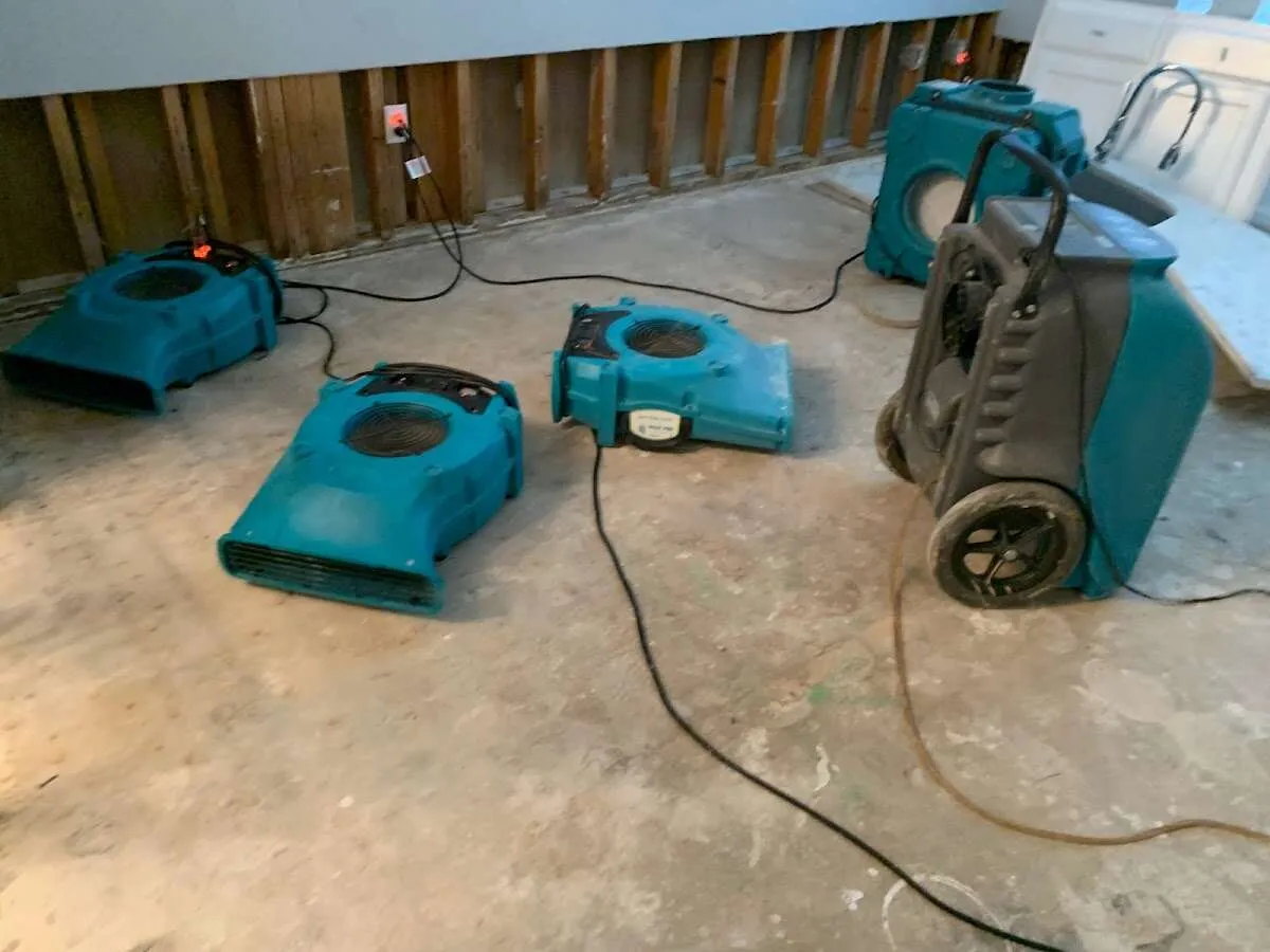 Drying & Dehumidification in Falmouth, ME